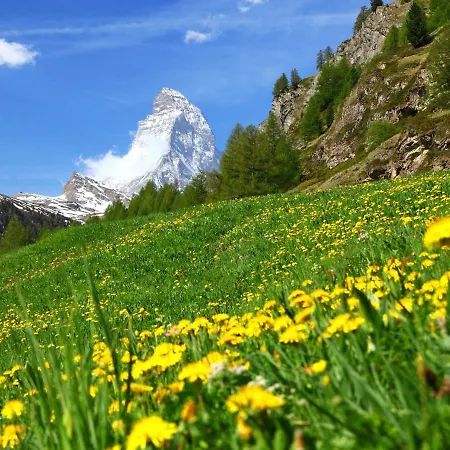 Zur Matte B-8 By Interhome Zermatt